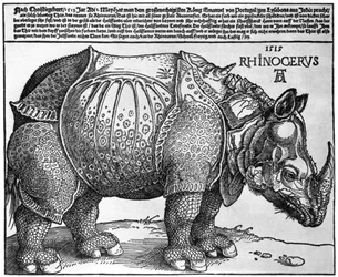 Rhinoceros, trykk gitt til Maximilian I av kongen av Lisboa, 1515, 1936