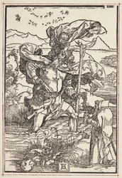 St. Christopher i villmarken med en fugleflukt