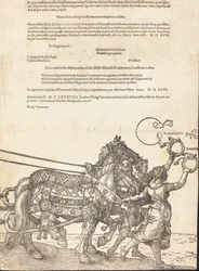 The Triumphal Chariot of Maximilian I The Great Triumphal Car [plate 8 av 8], 1523 latinsk utgave.