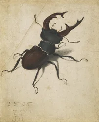 Hjortebille