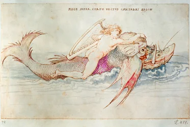 Den greske poeten Arion ridende på delfinen, ca. 1515 (akvarell på papir)