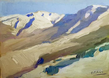 Pinajarro landskap
