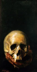 Skallen