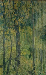 Sumpskog, 1917