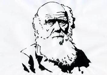 Portrett av Charles Darwin - Portrett av den engelske naturforskeren Charles Darwin (1809-1882) Illustrasjon