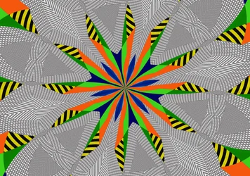 Clover, 2019, (blandet media)