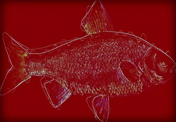 Fish V,2020 ,(blandet media)