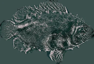 fisk i grønt,2020,(mixed media)