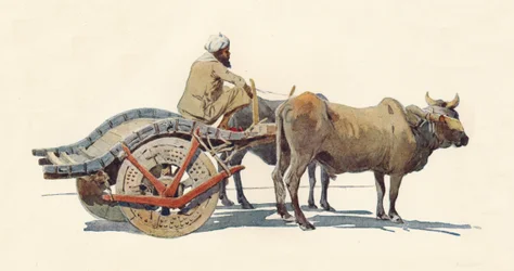 En oksevogn, Jodhpur, c1880 1905.