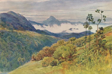Morning Mists in the Valley of the Mahaweli Ganga, ca 1880 1905.