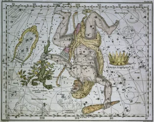 Hercules, fra 