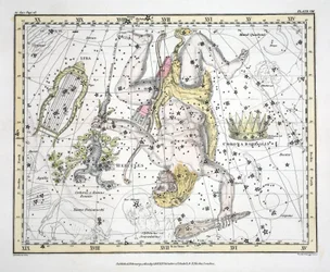 The Constellations (Plate VIII) Corona Borealis, Hercules and Cerberus, Lyra, fra 
