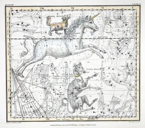 The Constellations (Plate XXV) Canis Major, Canis Minor, Monoceros, Argo Navis, Printer