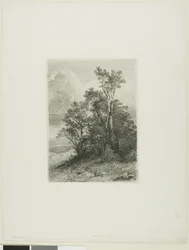 Alpint landskap