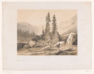 Fjelllandskap med grantrær og fjellgeiter Sapins (tittel på objekt)