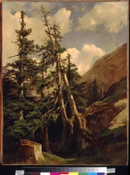 Graner i fjellene ved Calame, Alexandre (1810-1864). Olje på lerret, Dimensjon: 68,5x53. State A. Pushkin Museum of Fine Arts, Moskva