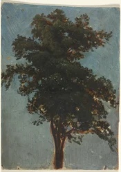 Trestudie, andre tredje 1800-tallet.