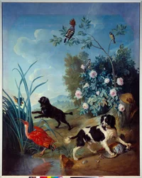 Zerbine og Jemite, kong Ludvig XIVs hunder, maleri av François Desportes (1661-1743), 1739, Compiègne, Musée national du château