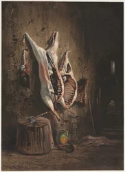 Skrotter