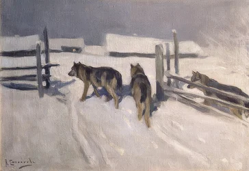 Ulver. Vinternatt. Rundt 1910