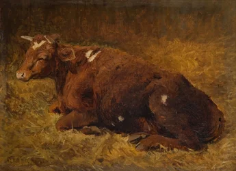 En ku som ligger på bakken, 1865-1872.
