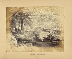 Fossen - Hemlock-trær
