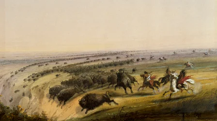 Bisonjakt