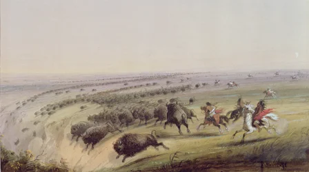 Bøffeljakt, 1837