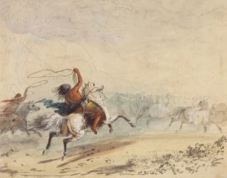 Lassoing Wild Horses, ca. 1837 (blyant, penn, blekk, akvarell og gouache på papir)