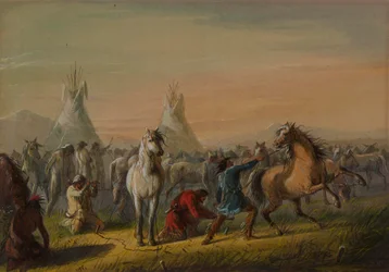 Hester som står i bånd