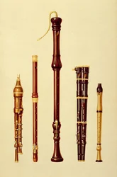 En dobbel flageolet, en tysk fløyte, en bassblokkfløyte, en dobbel flageolet og en blokkfløyte, fra 'Musical Instruments' (farget litho)