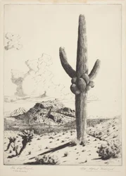 The Sentinel (Sahuaro) (etsing og akvatint)