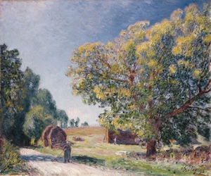 En lysning i en skog, 1895