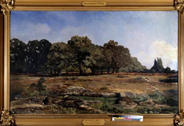 Allee av kastanjetrær til Celle saint Cloud av Alfred Sisley (1839-1899) 1865