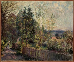 Skogssti