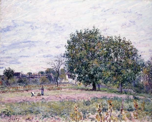 Valnøtttrær, effekten av solnedgangen - første dag i oktober, 1882