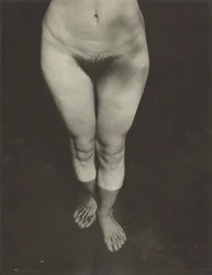 Rebecca Salsbury Strand, 1922.    1194660   no       norwegian Successfully Translated  Original: The Wild Horse, or Frightened Horse Leaving the Water Translat: The Wild Horse, or Frightened Horse Leaving the Water 1308089 no norwegian Successfully Transl