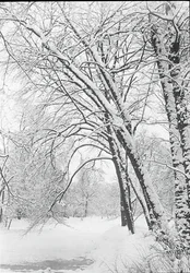 Snowscape, Berlin, 188892.