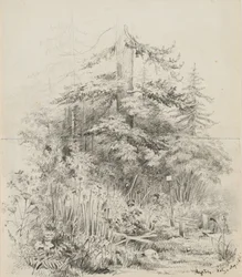 Indian Burial Place, Oregon, 1841 (grafitt på to sømte skissebokark med kremvevd papir)