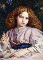 The Fair Conchologist,