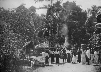 A Jungle Village, c1890, 1910