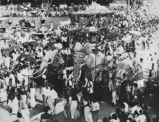 Hellig elefant i Perahera-prosesjonen, Kandy, Ceylon, c1890, 1910