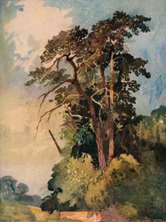 Studie av trær, c1880