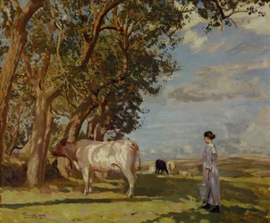 Sommermorgen, en melkepike og storfe