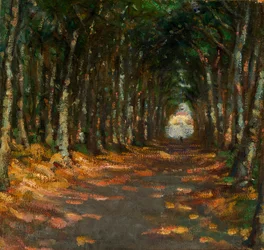 Alley in the Park, ca. 1906.