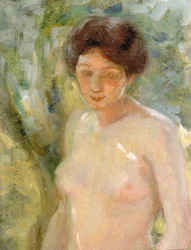 I sollys, ca. 1910.