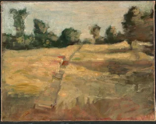 Feltet, ca. 1892.