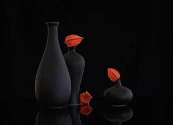Stilleben med oransje physalis