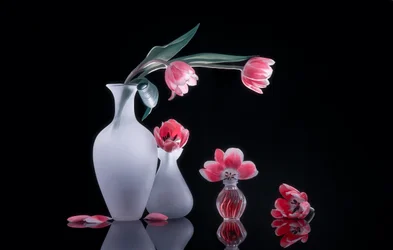 Stilleben med rosa tulipaner