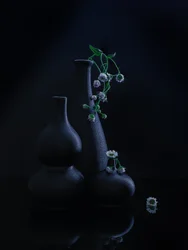 Fredelige vaser og blomster
